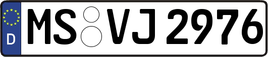 MS-VJ2976