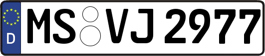 MS-VJ2977