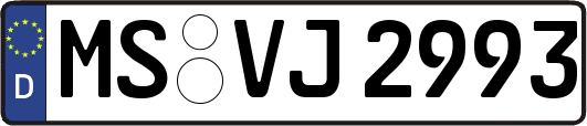 MS-VJ2993