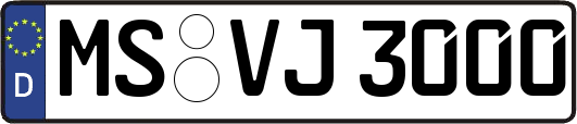 MS-VJ3000