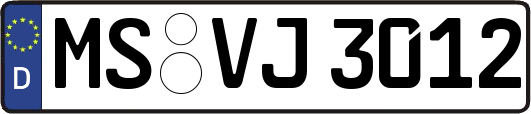 MS-VJ3012