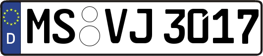 MS-VJ3017