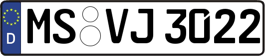 MS-VJ3022