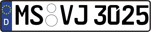 MS-VJ3025