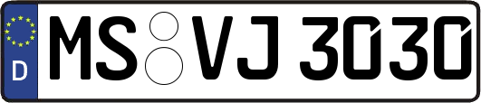 MS-VJ3030