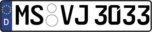 MS-VJ3033