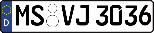 MS-VJ3036