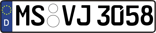 MS-VJ3058
