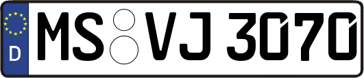 MS-VJ3070
