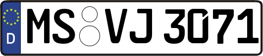 MS-VJ3071