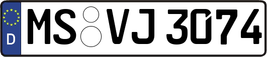 MS-VJ3074