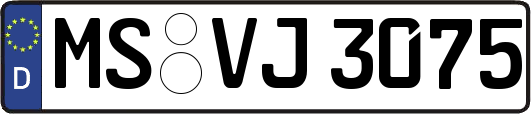 MS-VJ3075