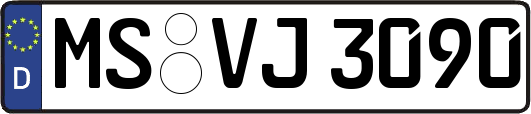 MS-VJ3090