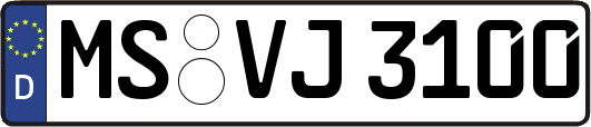MS-VJ3100