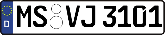 MS-VJ3101