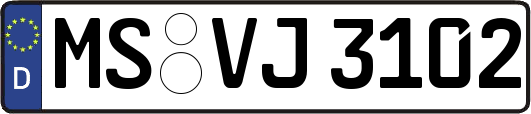 MS-VJ3102
