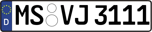 MS-VJ3111