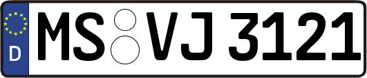 MS-VJ3121