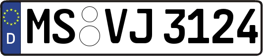 MS-VJ3124