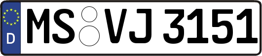 MS-VJ3151