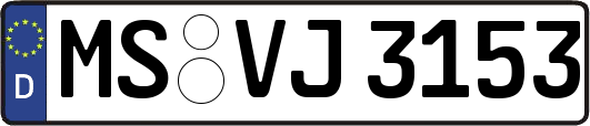 MS-VJ3153