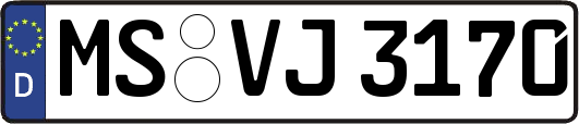 MS-VJ3170