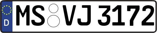 MS-VJ3172