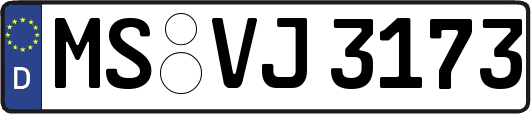 MS-VJ3173
