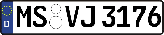 MS-VJ3176