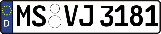 MS-VJ3181