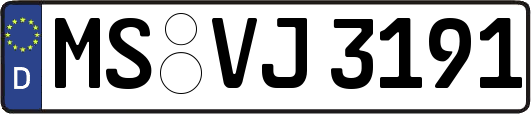 MS-VJ3191