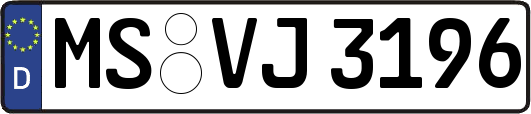 MS-VJ3196