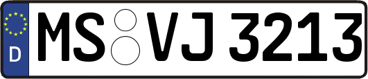 MS-VJ3213