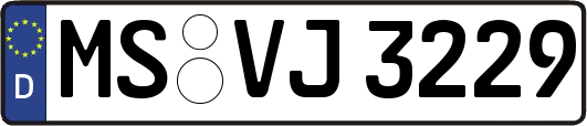 MS-VJ3229