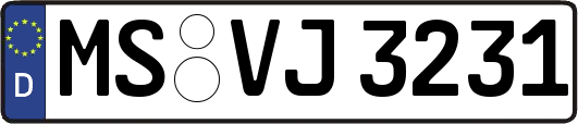 MS-VJ3231