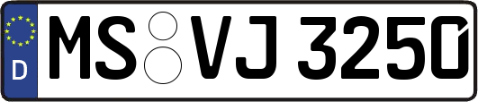 MS-VJ3250