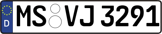 MS-VJ3291