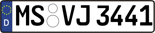 MS-VJ3441