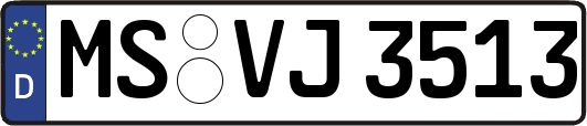 MS-VJ3513