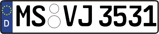 MS-VJ3531