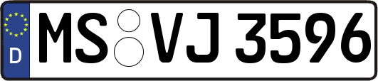 MS-VJ3596