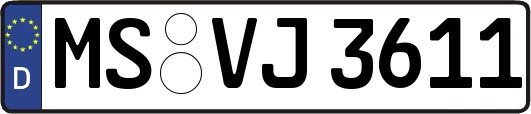 MS-VJ3611