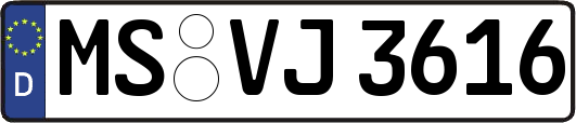 MS-VJ3616