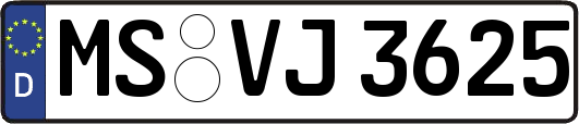 MS-VJ3625