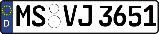 MS-VJ3651