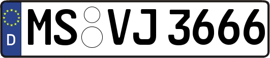MS-VJ3666