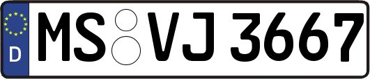 MS-VJ3667