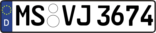 MS-VJ3674
