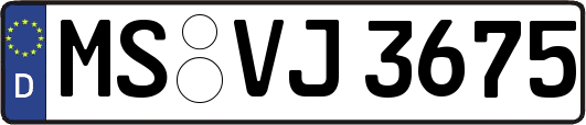 MS-VJ3675