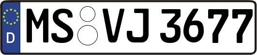 MS-VJ3677